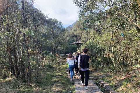 Chauffeured Ride to Silver and Love Waterfall, Lonely Tree