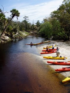 Visit Kayaking the Econlockhatchee River Day-Trip From Orlando in Orlando