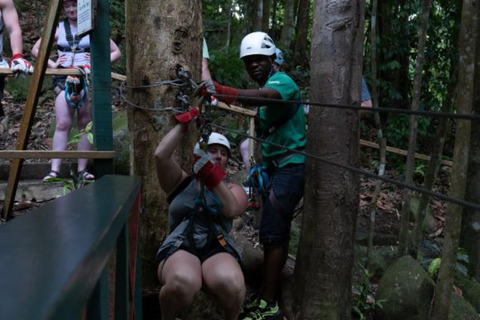 Saint Lucia: Safari Jeep & Zipline Avontuur