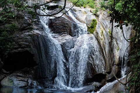 Ella: NineArches Bridge,Mini adam's peak and Waterfalls Tour