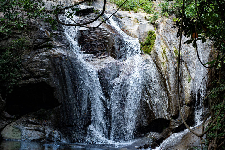 Ella: NineArches Bridge,Mini adam's peak and Waterfalls Tour