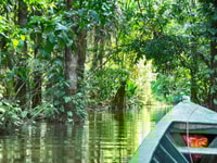 De Puerto Maldonado ||Trekking de la jungle + lac Sandoval || - Housity