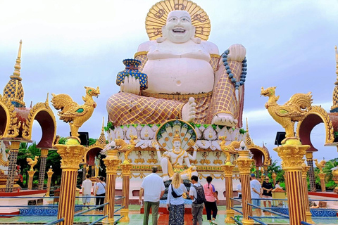 كوه ساموي: جولة نصف يوم في المدينة مع خدمة الاستقبال من الفندق