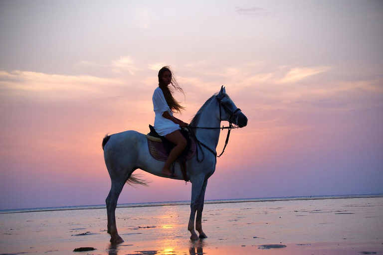 Baía de Makadi: Passeio a cavalo no deserto e no mar com guia + transferênciasBaía de Makadi: Passeio a cavalo no deserto e no mar com guia + transporte