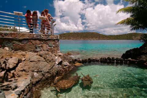 Saint Thomas: Coral World Ocean Park Ticket