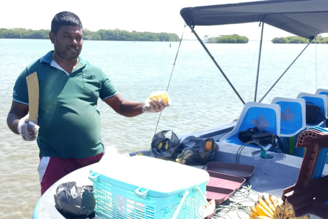 Hamilton Canal Boat Sapari & Negombo Mangrove Sightseeing