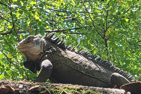 Wycieczka morskaNurkowanie z rurką
