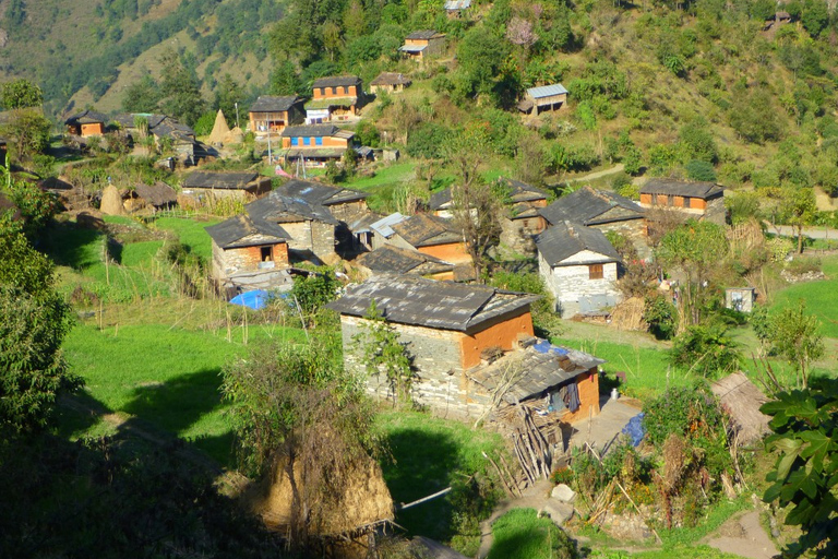 Valle di Kathmandu: escursione di 3 giorniOpzione standard