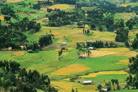 Excursie naar de Ventanillas de Otuzco + Tres Molinos boerderij