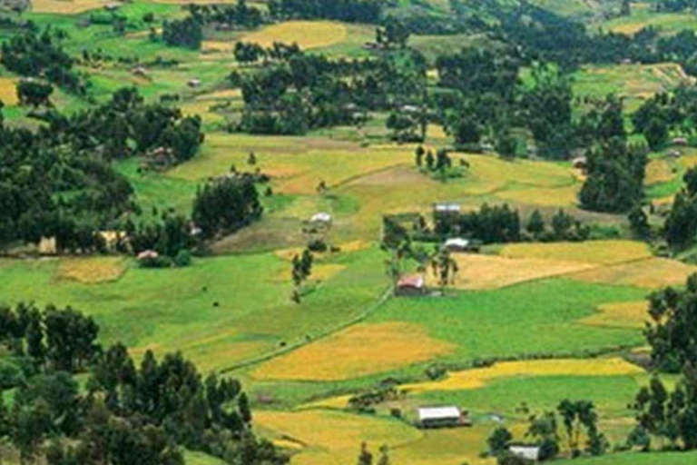 Escursione alle Ventanillas de Otuzco + fattoria Tres Molinos