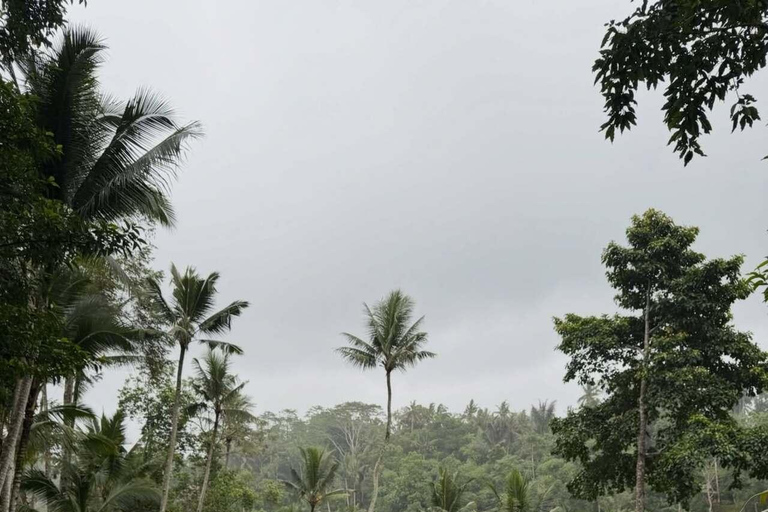Bali: Ubud Swing, Rice Terrace & Temple Private Day Tour