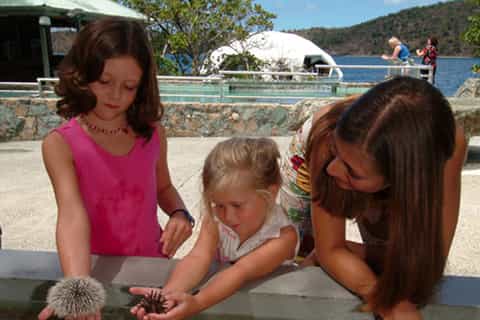 Saint Thomas: Coral World Ocean Park Ticket