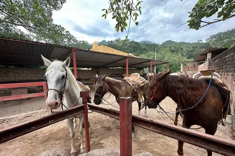 Puerto Vallarta : Randonnée à cheval dans le cadre du Wild Tour