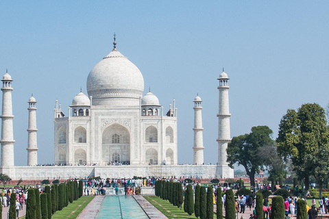 Z Delhi: Wschód słońca w Taj Mahal i wycieczka SOS dla słoni i niedźwiedziWycieczka prywatna bez biletów wstępu i śniadania lub lunchu