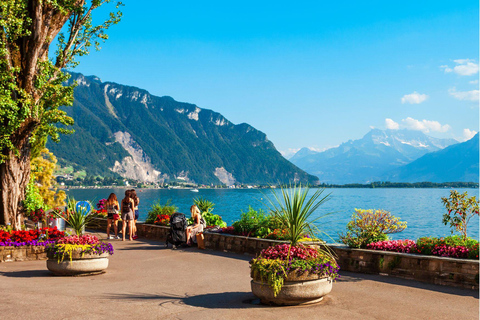 Lucerne:Private Car Tour- Gruyeres,Vevey,Montreux & Fribourg