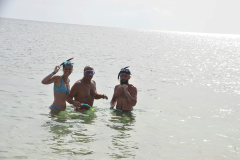 Sal Island: Eco Snorkeling Tour w/ Reef, Turtles & Shipwreck