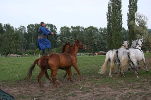 Dagtocht vanuit Boedapest: Puszta-paardenshow en plattelandVolledige dag Puszta-tour met pick-up
