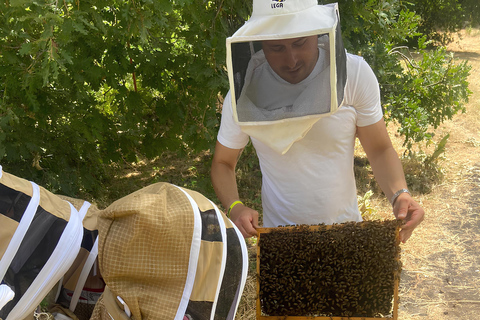 Zafferana Etnea:Honey extraction workshop and honey tasting Tour for 2 people