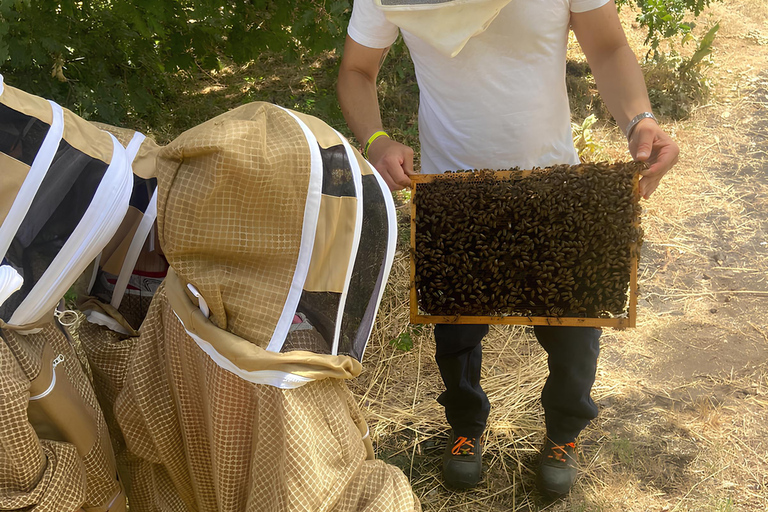 Zafferana Etnea:Honey extraction workshop and honey tasting Tour for 2 people