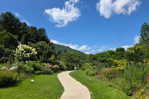 From Seoul: Garden of Morning Calm Day Tour by train