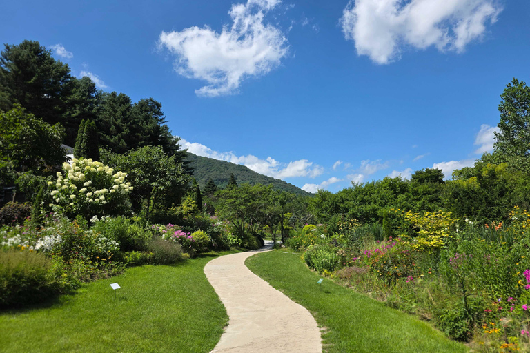 From Seoul: Garden of Morning Calm Day Tour by train