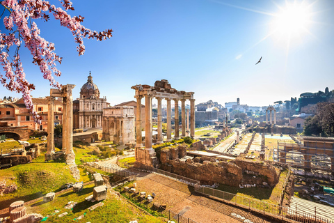 Rome : Forum romain et colline du Palatin visite guidée avec licence