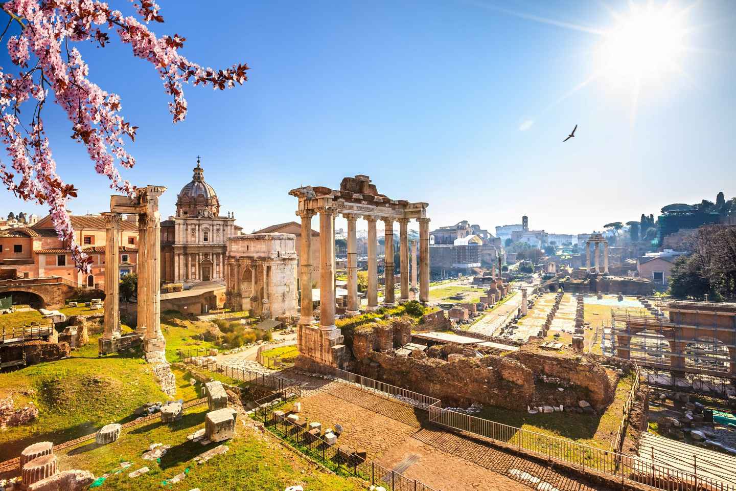 Rom: Geführte Tour durch das Forum Romanum und den Palatinhügel
