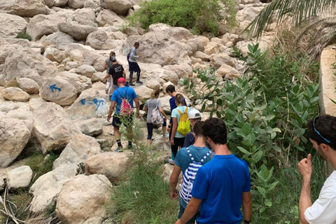Muscat: Wadi Al Shab Oasis, Secret Cave & Sinkhole