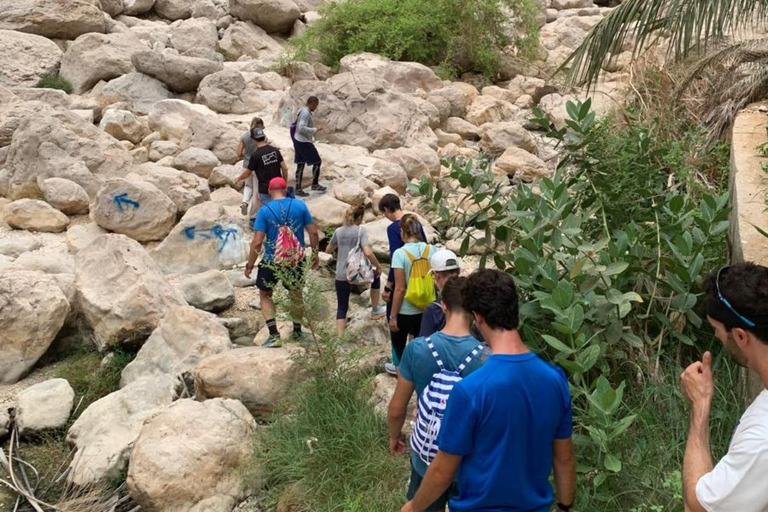 Muscat: Wadi Al Shab Oasis, Secret Cave & Sinkhole