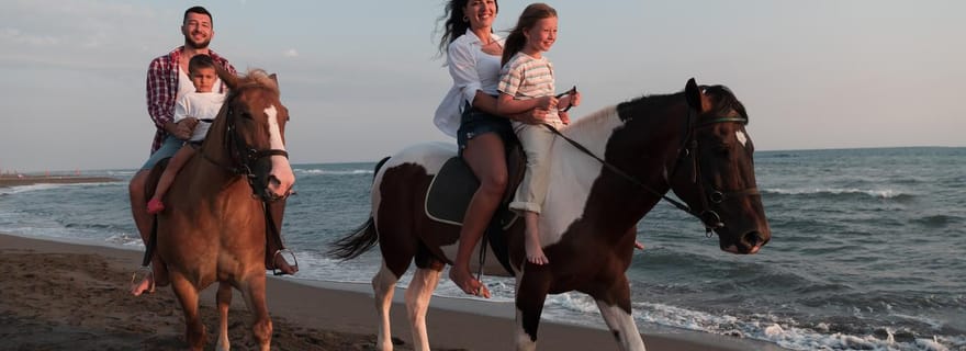 Vieques : excursion équestre sur une plage de sable noir