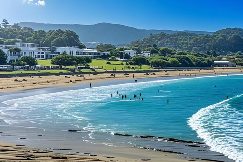 From Melbourne: Great Ocean Road & 12 Apostles Wild Day Tour