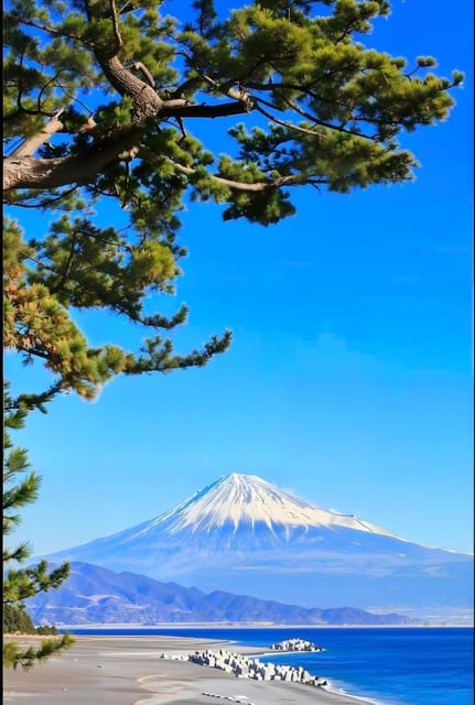 東京発：3日間 富士山、伊豆半島、箱根ツアー