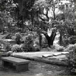 savannah twilight ghost walking tour