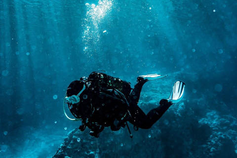 Golem/Durres : expérience de plongée sous-marine dans la mer IonienneGolem/Durres : Plongée sous-marine dans la mer Ionienne