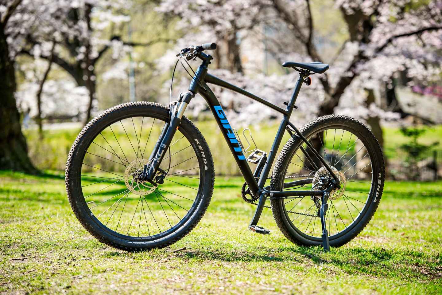 things to do at night in manhattan | unwind on this two-hour bike rental in central park