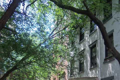 Food Tour of Greenwich Village