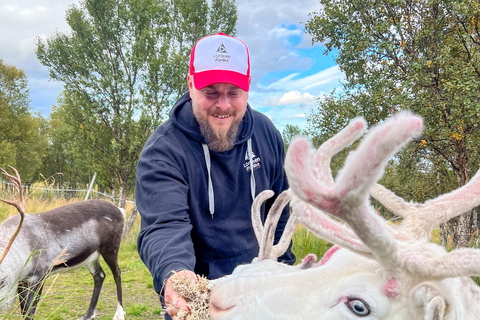 Svolvær: Sami-cultuur en rendierbelevenis