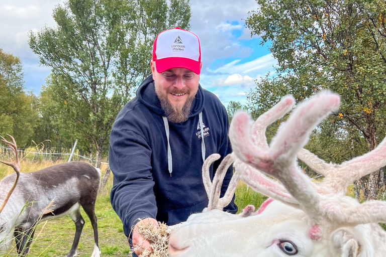 Svolvær: Sami-cultuur en rendierbelevenis