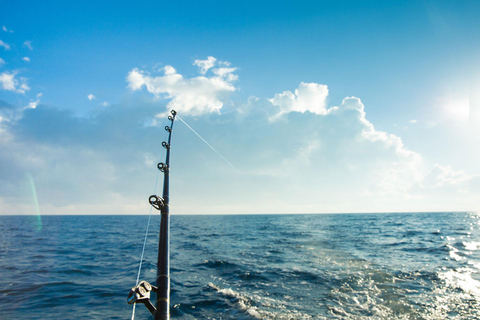 Bergen: Deep-Sea Fishing Charter Half-Day Expedition