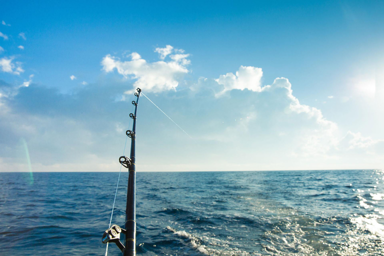 Bergen: Deep-Sea Fishing Charter Half-Day Expedition