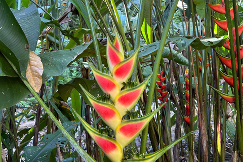 Z Huatulco: Egzotyczny ogród w ekoturystycznym ranczu i wizyta w punkcie widokowym.Z Huatulco: Egzotyczny ogród w ekoturystycznym ranczu i wizyta w punkcie widokowym