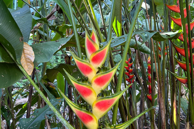 Z Huatulco: Egzotyczny ogród w ekoturystycznym ranczu i wizyta w punkcie widokowym.Z Huatulco: Egzotyczny ogród w ekoturystycznym ranczu i wizyta w punkcie widokowym