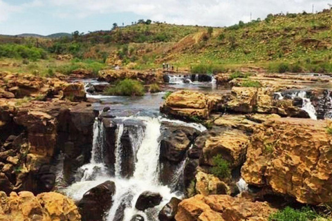 From Johannesburg: 4-Day Kruger Safari & Panorama Route Tour