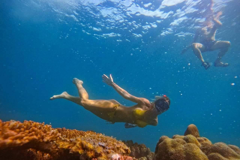 Koh Tao: Snorkeling Tour, Small-Group with Lunch & Transfer