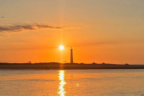 Folly Beach: Tour en barco por la Isla Morris con búsqueda de fósiles