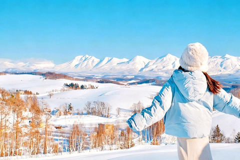 Hokkaido Winter Shikisai no Oka, Blue Pond (Dec.10 - Mar.10) 10:40 am meet at JR Sapporo Station North exit