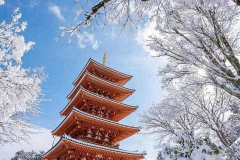 Tokyo: Mt. Fuji Private Scenic Tour with Custom Stops