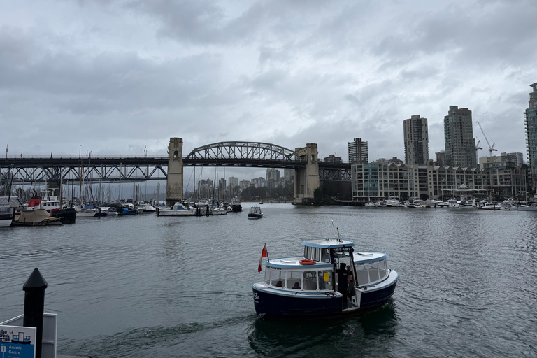 Vancouver: Hop-On Hop-Off City Tour by Car, Small Group