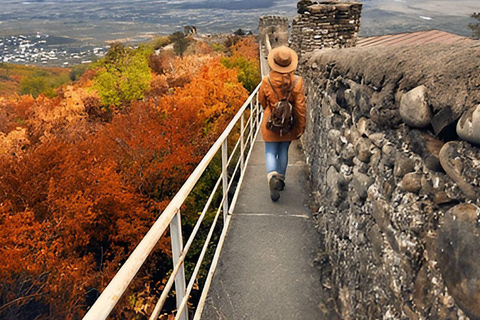 Authentic Georgian Rtveli in Kakheti from Tbilisi