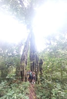 Munduk , Jungle Trekking,Canoeing & Balinese Cooking class - Housity